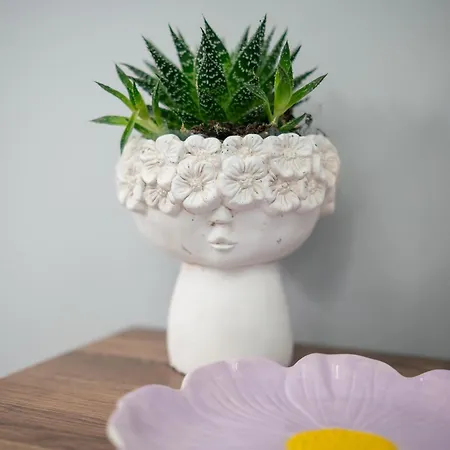 26 Апартаменти *